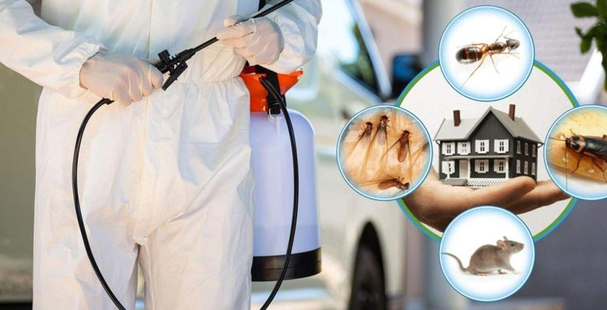 Altıeylül Böcek İlaçlama