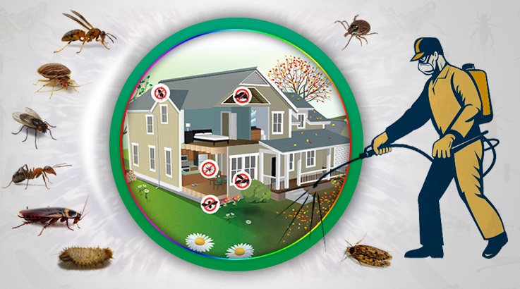 Altıeylül Böcek İlaçlama