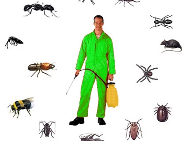 Altıeylül Böcek İlaçlama